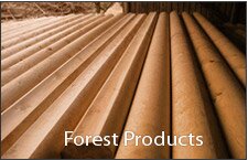 Forest products